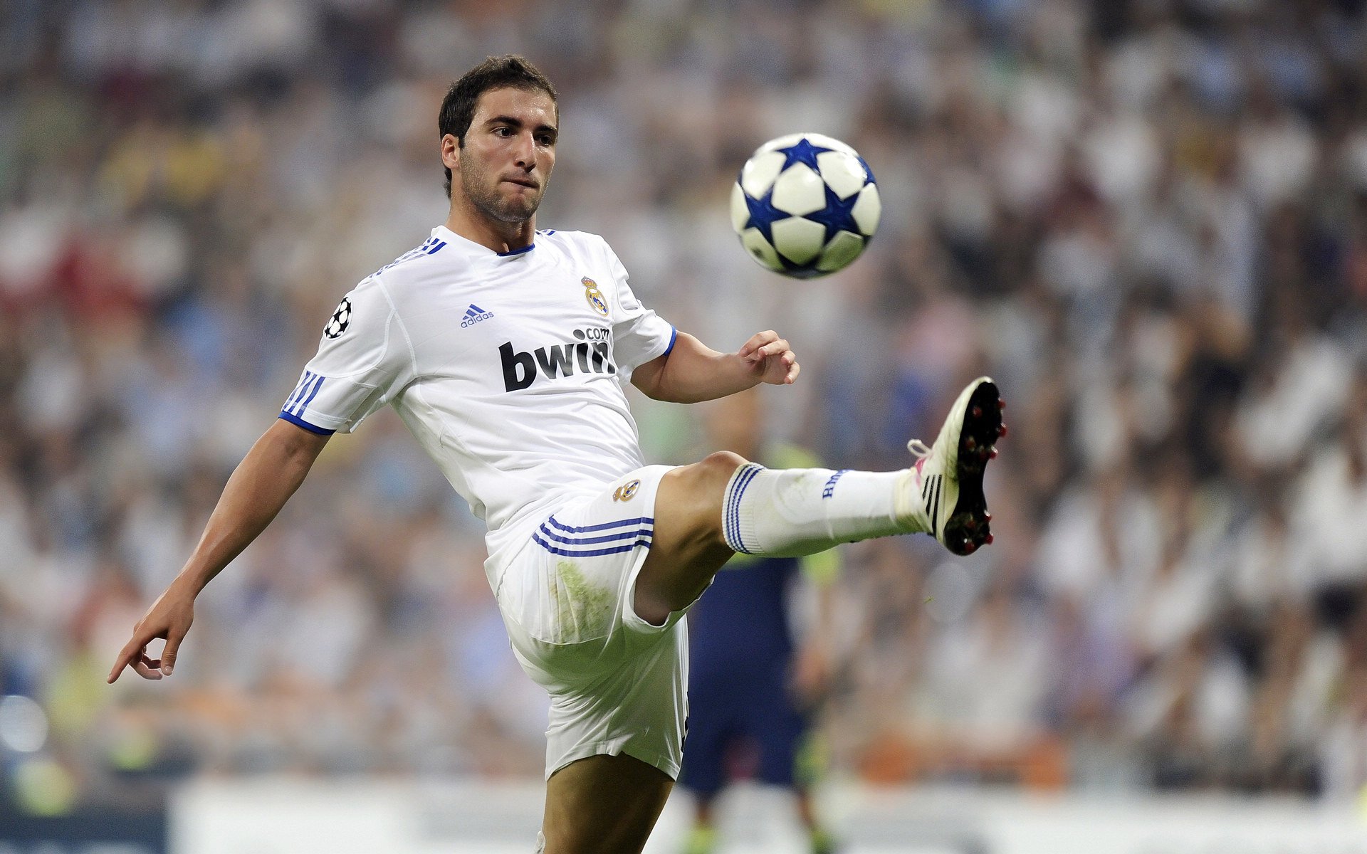 开云体育官网下载安装-足球探访体验营火热招募，青少年疯狂报名，足球体验馆